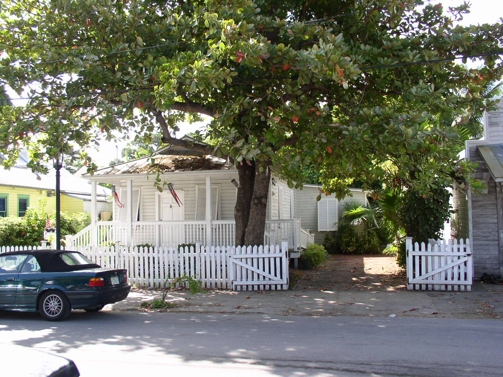 photo1